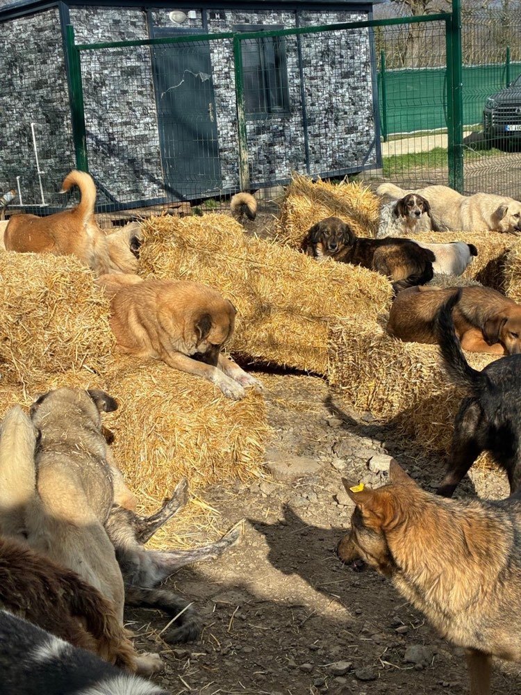 Feeding time