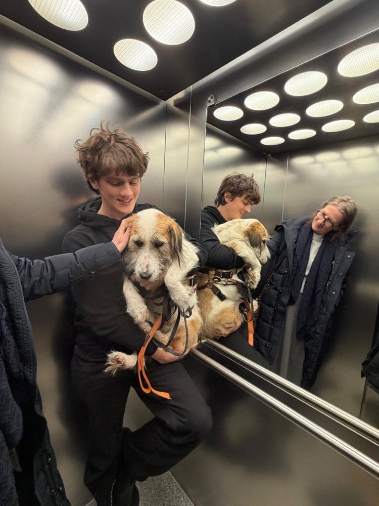 Carrying a dog to safety