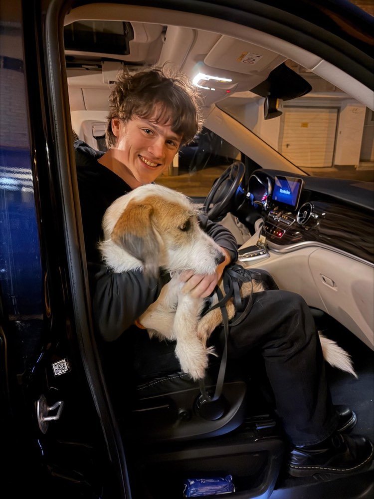 A rescued dog travelling